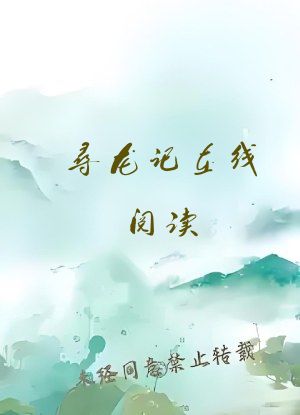 寻龙记在线阅读