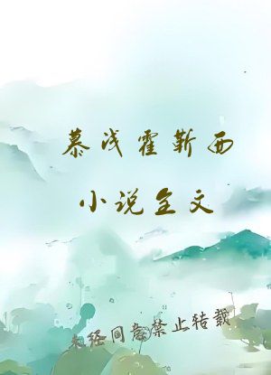 慕浅霍靳西小说全文
